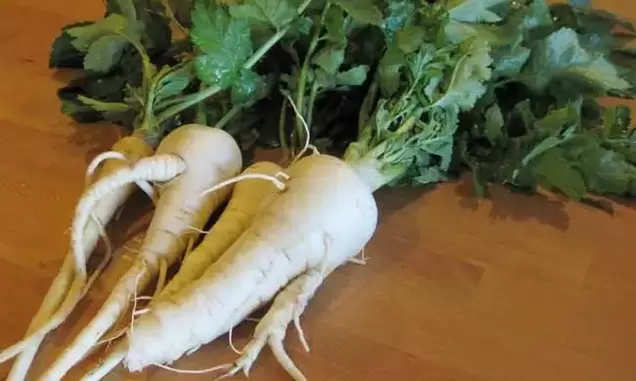 Using parsnip root as a flavoring increases potency
