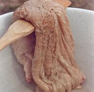 Camel stomach stimulates potency