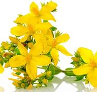 St. John's Wort stimulates potency